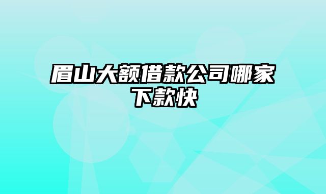 眉山大额借款公司哪家下款快