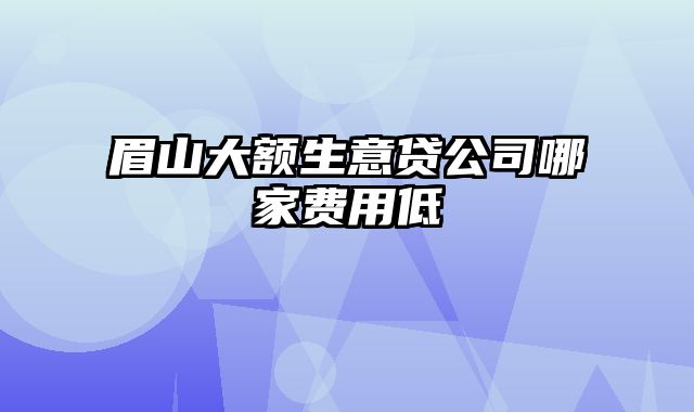 眉山大额生意贷公司哪家费用低