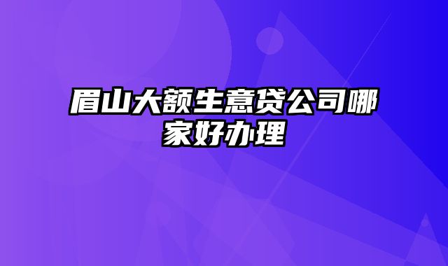 眉山大额生意贷公司哪家好办理