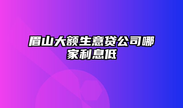 眉山大额生意贷公司哪家利息低