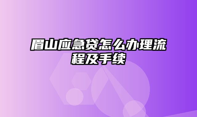 眉山应急贷怎么办理流程及手续