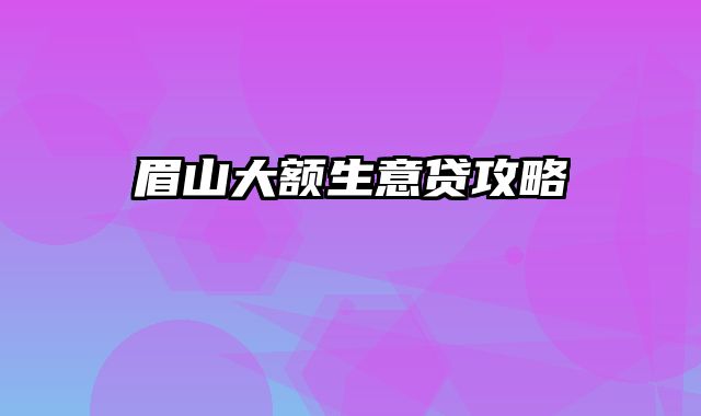 眉山大额生意贷攻略