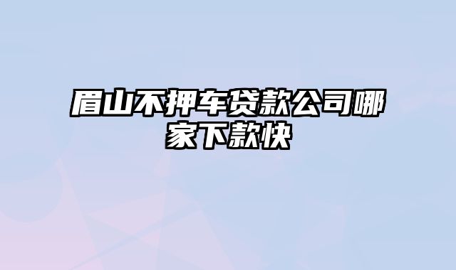 眉山不押车贷款公司哪家下款快