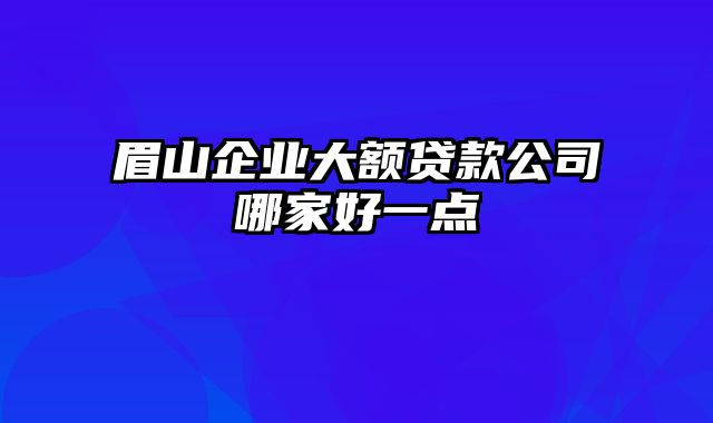 眉山企业大额贷款公司哪家好一点