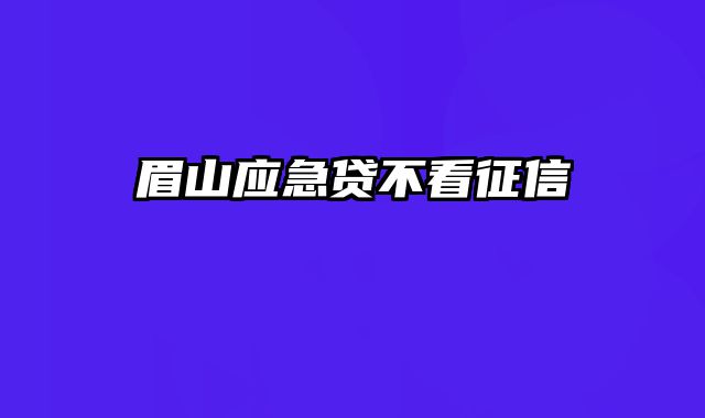 眉山应急贷不看征信