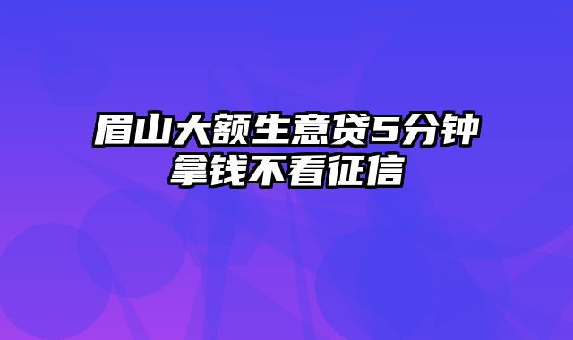 眉山大额生意贷5分钟拿钱不看征信