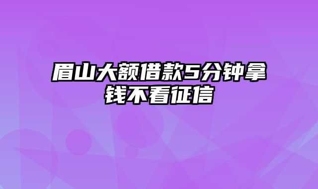 眉山大额借款5分钟拿钱不看征信