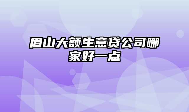 眉山大额生意贷公司哪家好一点