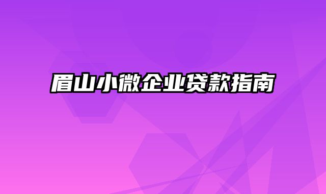 眉山小微企业贷款指南