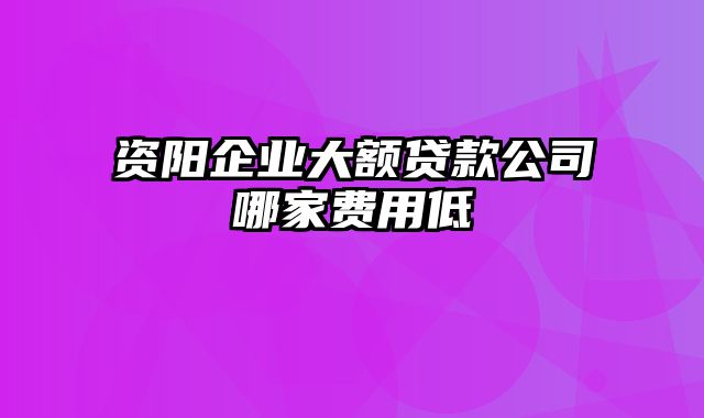 资阳企业大额贷款公司哪家费用低