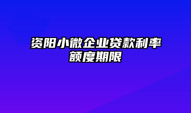 资阳小微企业贷款利率额度期限