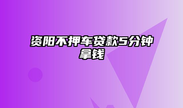 资阳不押车贷款5分钟拿钱