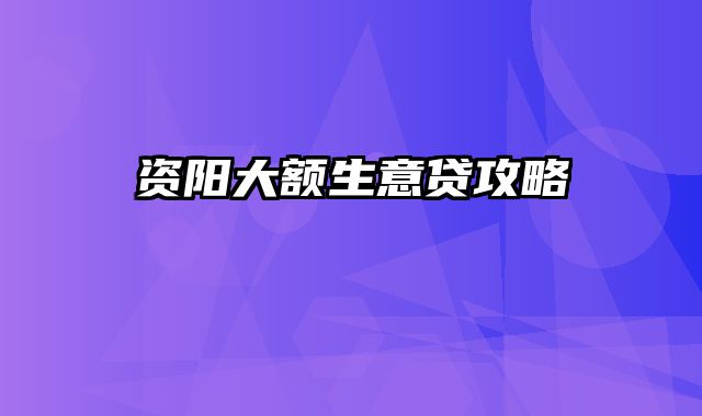 资阳大额生意贷攻略