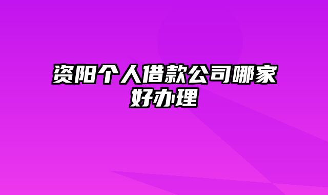 资阳个人借款公司哪家好办理