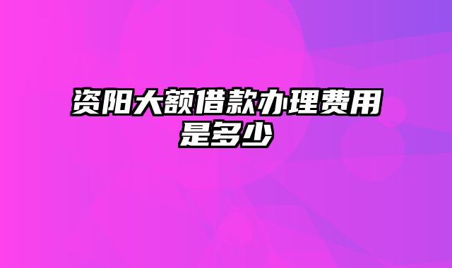 资阳大额借款办理费用是多少