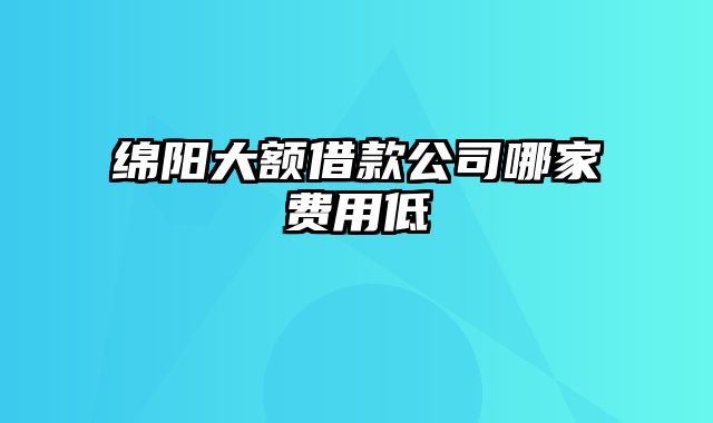 绵阳大额借款公司哪家费用低