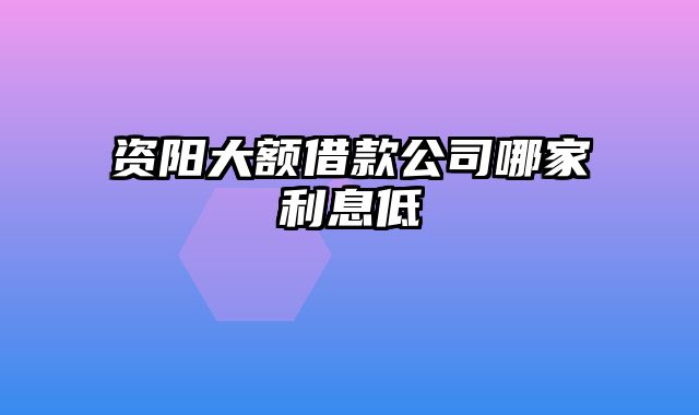 资阳大额借款公司哪家利息低