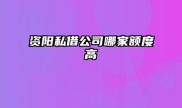 资阳私借公司哪家额度高