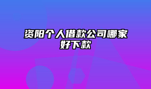 资阳个人借款公司哪家好下款