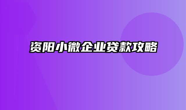 资阳小微企业贷款攻略