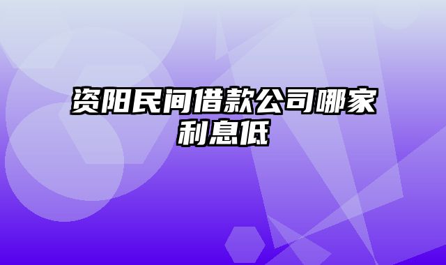 资阳民间借款公司哪家利息低