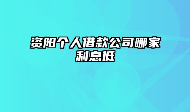 资阳个人借款公司哪家利息低