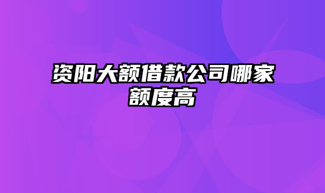 资阳大额借款公司哪家额度高