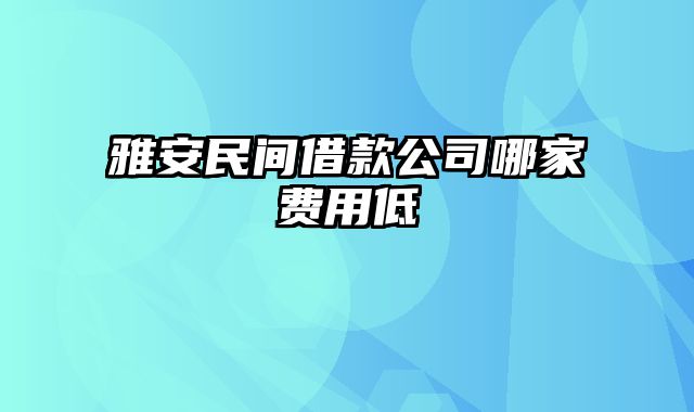 雅安民间借款公司哪家费用低