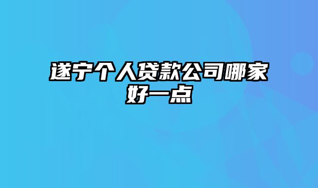 遂宁个人贷款公司哪家好一点