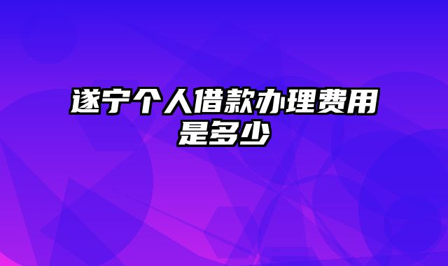 遂宁个人借款办理费用是多少