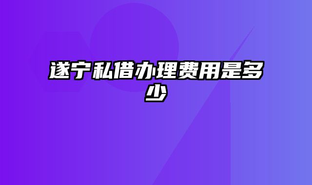 遂宁私借办理费用是多少