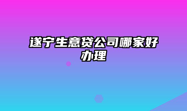 遂宁生意贷公司哪家好办理