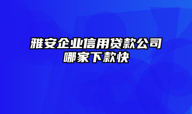 雅安企业信用贷款公司哪家下款快