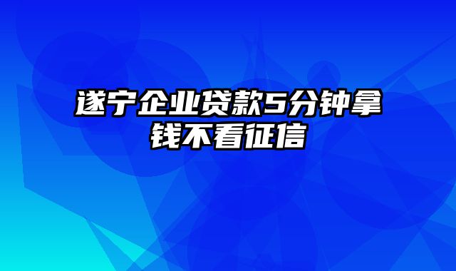 遂宁企业贷款5分钟拿钱不看征信