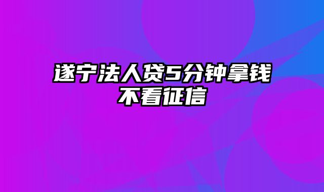 遂宁法人贷5分钟拿钱不看征信