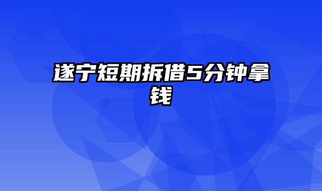 遂宁短期拆借5分钟拿钱