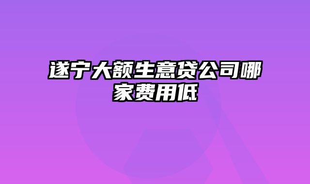 遂宁大额生意贷公司哪家费用低