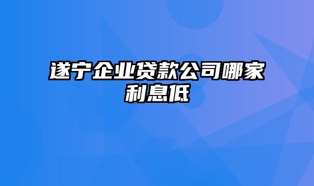 遂宁企业贷款公司哪家利息低