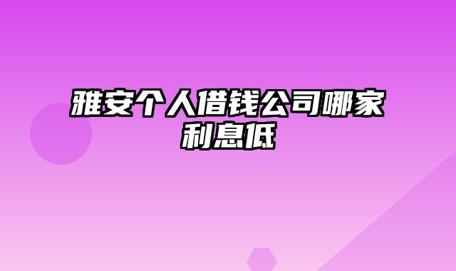 雅安个人借钱公司哪家利息低