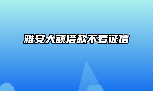 雅安大额借款不看征信