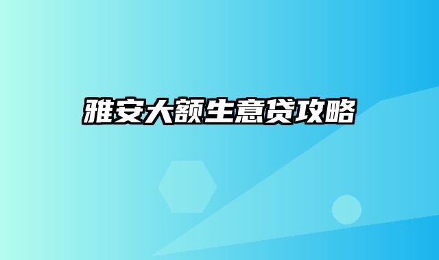 雅安大额生意贷攻略