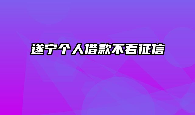 遂宁个人借款不看征信