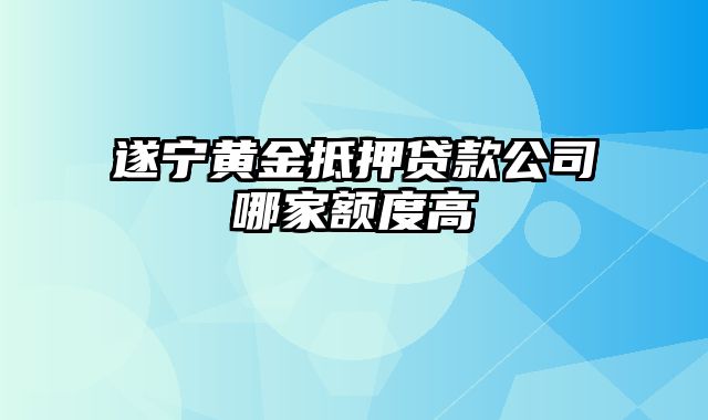 遂宁黄金抵押贷款公司哪家额度高