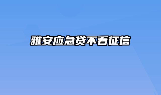 雅安应急贷不看征信