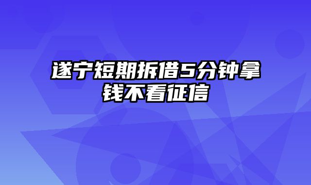 遂宁短期拆借5分钟拿钱不看征信