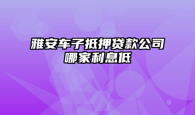 雅安车子抵押贷款公司哪家利息低