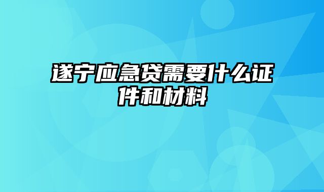 遂宁应急贷需要什么证件和材料