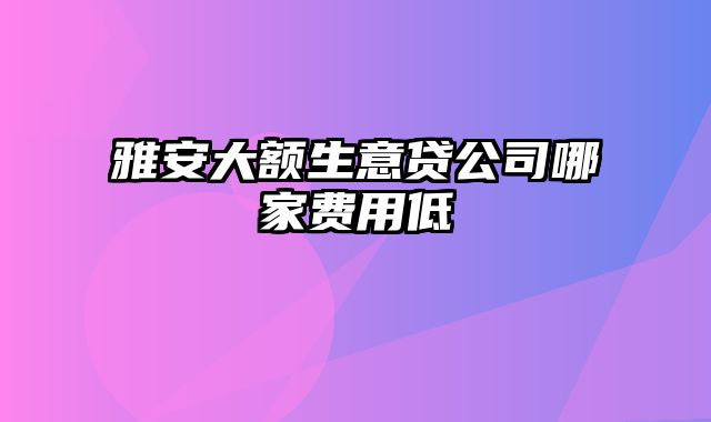 雅安大额生意贷公司哪家费用低