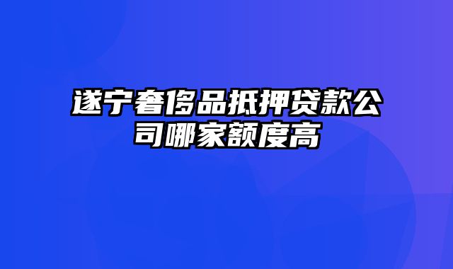 遂宁奢侈品抵押贷款公司哪家额度高