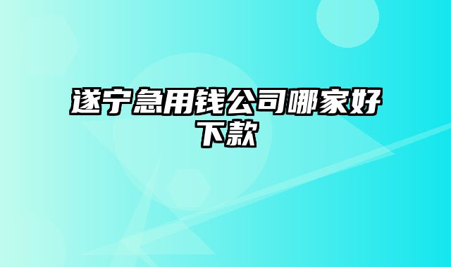 遂宁急用钱公司哪家好下款